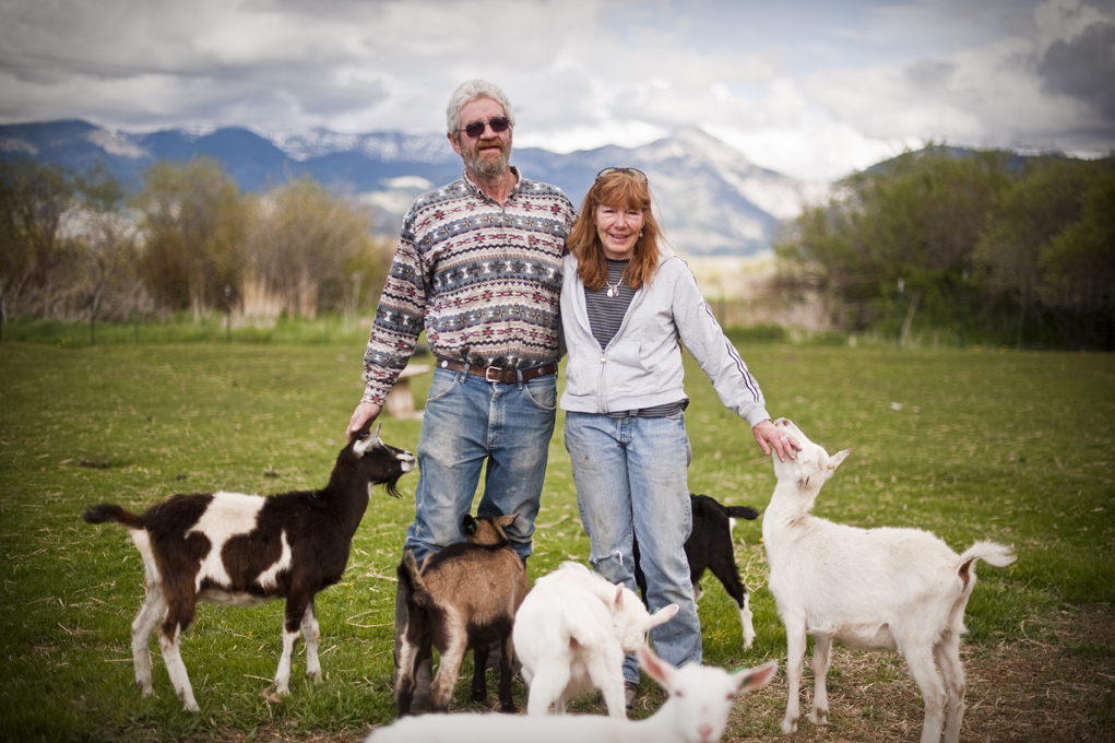 Amaltheia Organic Dairy