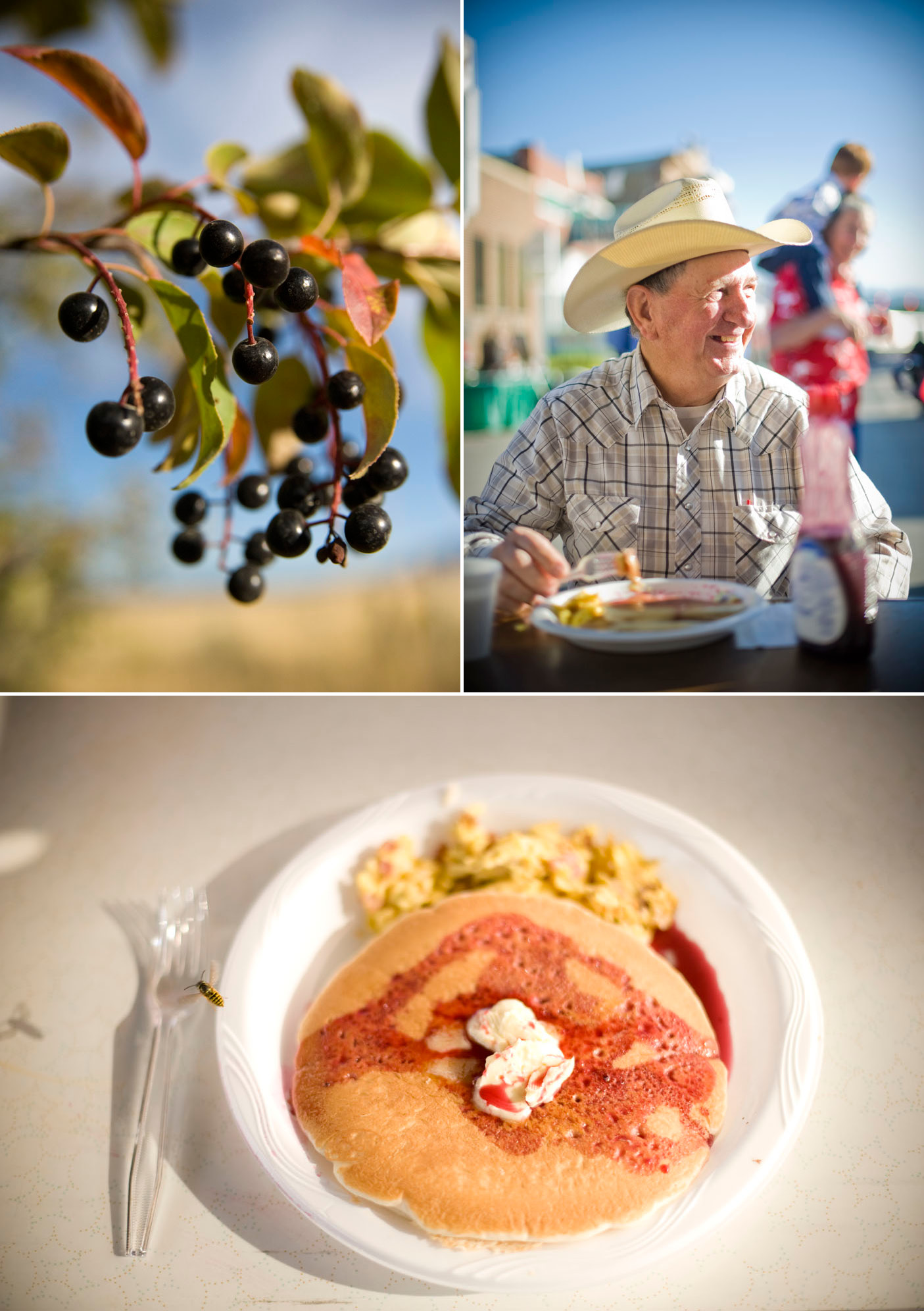Lewistown Chokecherry Festival on Montana food, travel, & culture blog - The Last Best Plates