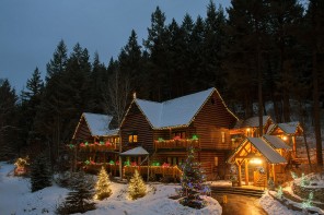 Moose-ing Around in Whitefish