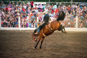 Bulls, Burgers & Beers…and a Parade